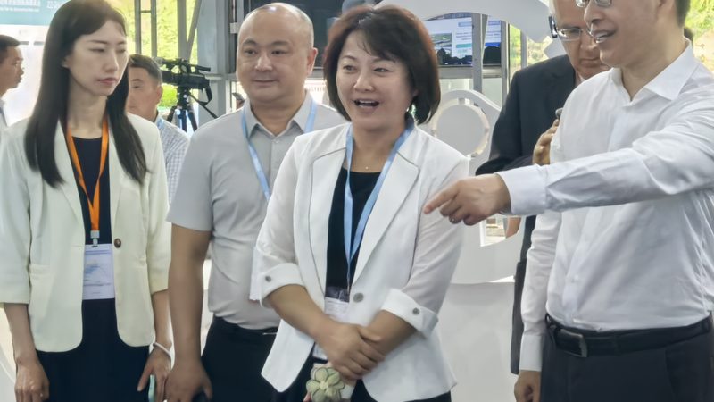 广州发动机保养用品厂家：从代工到技术输出的行业变局